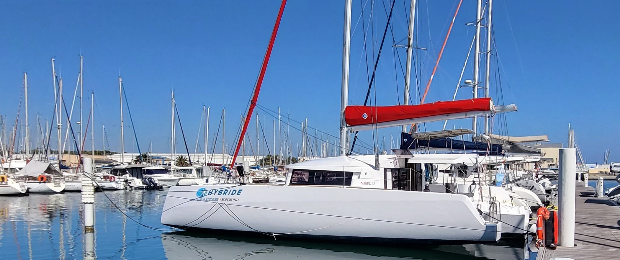 A Vendre - NEEL 43 Hybride